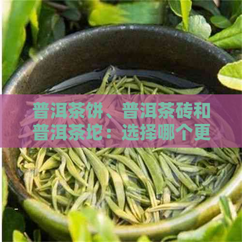 普洱茶饼、普洱茶砖和普洱茶坨：选择哪个更适合你？