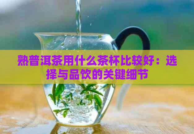 熟普洱茶用什么茶杯比较好：选择与品饮的关键细节