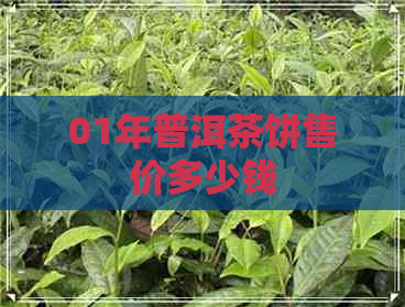 01年普洱茶饼售价多少钱