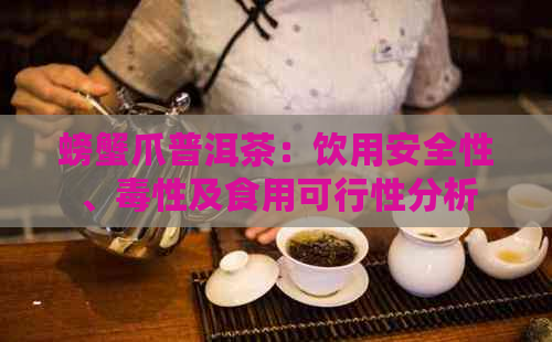 螃蟹爪普洱茶：饮用安全性、性及食用可行性分析