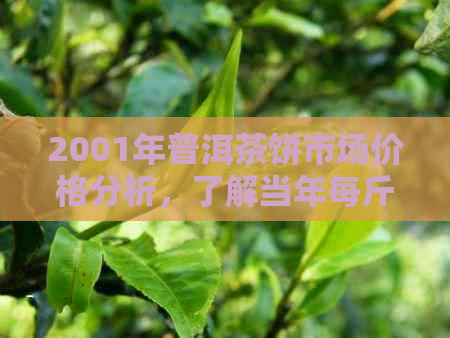 2001年普洱茶饼市场价格分析，了解当年每斤茶叶的具体售价