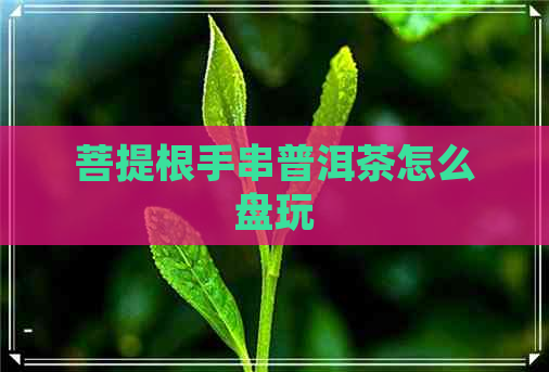 菩提根手串普洱茶怎么盘玩