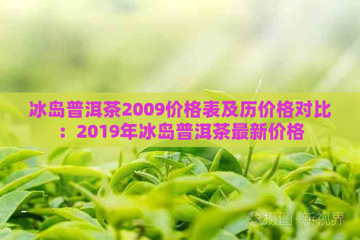 冰岛普洱茶2009价格表及历价格对比：2019年冰岛普洱茶最新价格