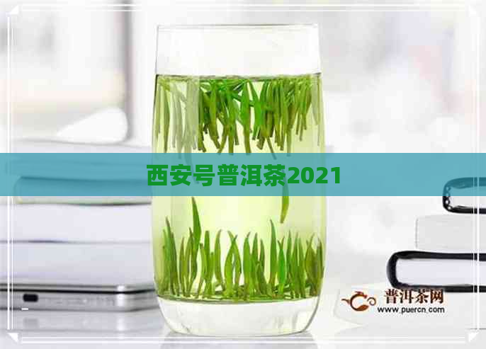 西安号普洱茶2021