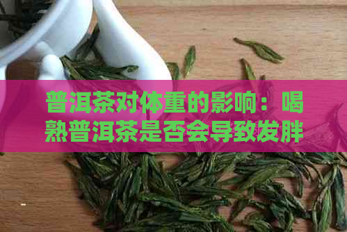 普洱茶对体重的影响：喝熟普洱茶是否会导致发胖？了解科学研究和个人经验