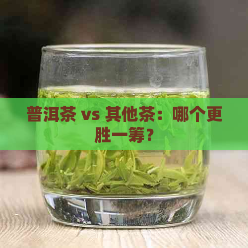 普洱茶 vs 其他茶：哪个更胜一筹？