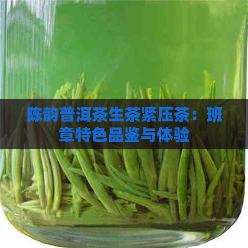 陈韵普洱茶生茶紧压茶：班章特色品鉴与体验