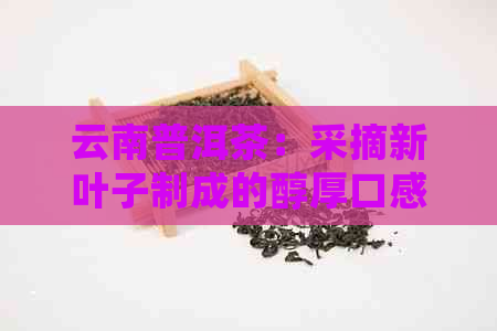 云南普洱茶：采摘新叶子制成的醇厚口感如何？新手指南