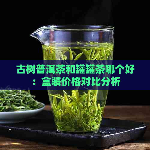 古树普洱茶和罐罐茶哪个好：盒装价格对比分析