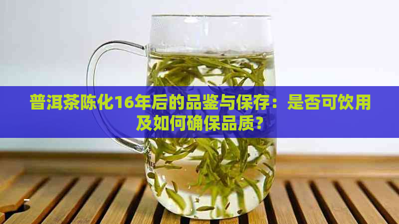 普洱茶陈化16年后的品鉴与保存：是否可饮用及如何确保品质？