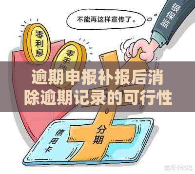 逾期申报补报后消除逾期记录的可行性探讨