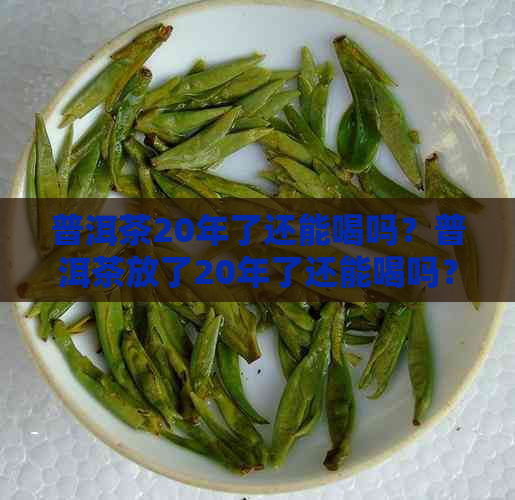 普洱茶20年了还能喝吗？普洱茶放了20年了还能喝吗？普洱茶一般保质期几年？