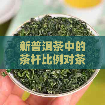 新普洱茶中的茶杆比例对茶叶品质的影响及其经济价值探讨