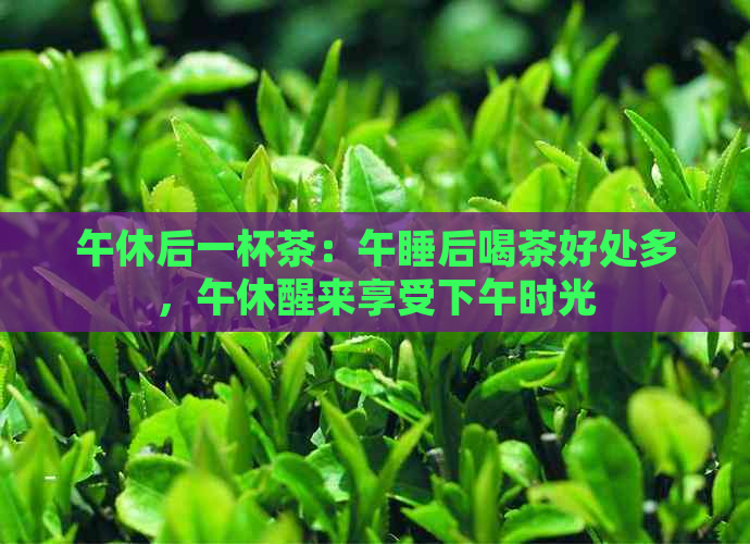 午休后一杯茶：午睡后喝茶好处多，午休醒来享受下午时光