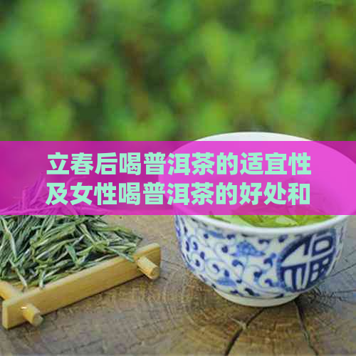 立春后喝普洱茶的适宜性及女性喝普洱茶的好处和注意事项