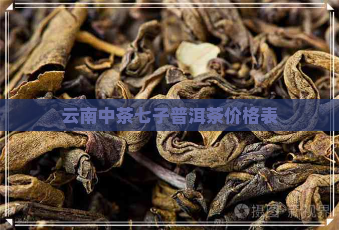 云南中茶七子普洱茶价格表