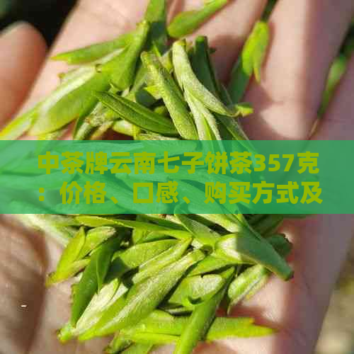 中茶牌云南七子饼茶357克：价格、口感、购买方式及注意事项一应俱全