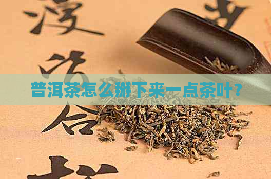 普洱茶怎么掰下来一点茶叶？