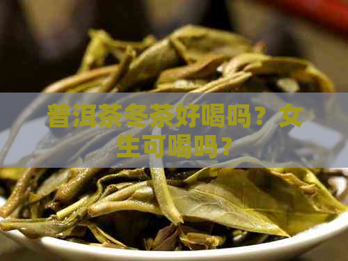 普洱茶冬茶好喝吗？女生可喝吗？