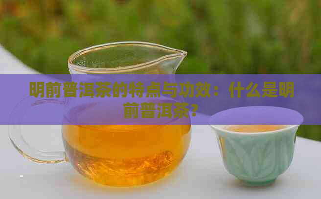 明前普洱茶的特点与功效：什么是明前普洱茶？