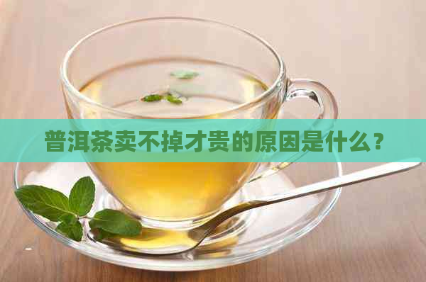 普洱茶卖不掉才贵的原因是什么？