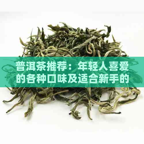 普洱茶推荐：年轻人喜爱的各种口味及适合新手的入门级茶叶