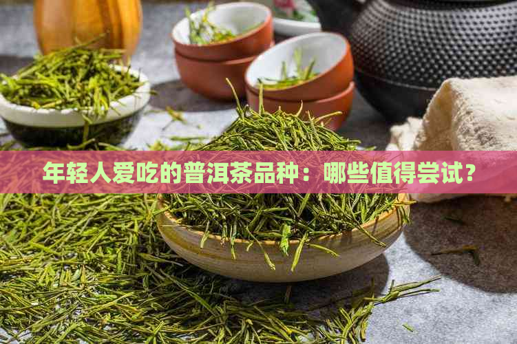 年轻人爱吃的普洱茶品种：哪些值得尝试？