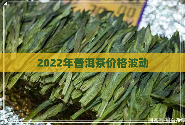 2022年普洱茶价格波动