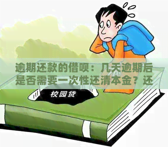 逾期还款的借呗：几天逾期后是否需要一次性还清本金？还有其他解决方案吗？