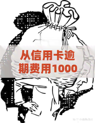 从信用卡逾期费用1000元到无限循环：如何全面计算逾期费用及其解决方案