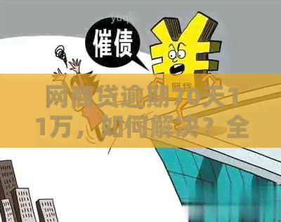 网商贷逾期70天11万，如何解决？全面指南来了！