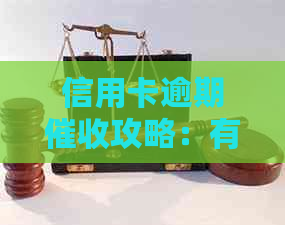 信用卡逾期攻略：有效应对逾期问题，提高还款意识，降低损失