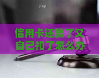 信用卡还款了又自己扣了怎么办呢？怎么回事？