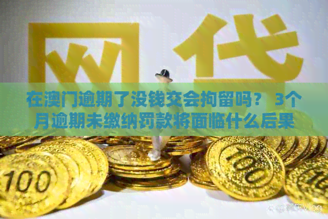 在逾期了没钱交会拘留吗？ 3个月逾期未缴纳罚款将面临什么后果？