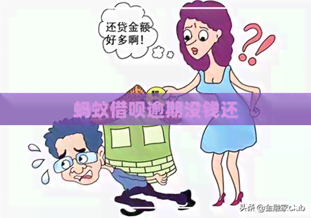 蚂蚁借呗逾期没钱还