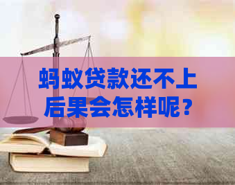 蚂蚁贷款还不上后果会怎样呢？怎么办？