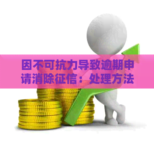 因不可抗力导致逾期申请消除：处理方法及可能影响