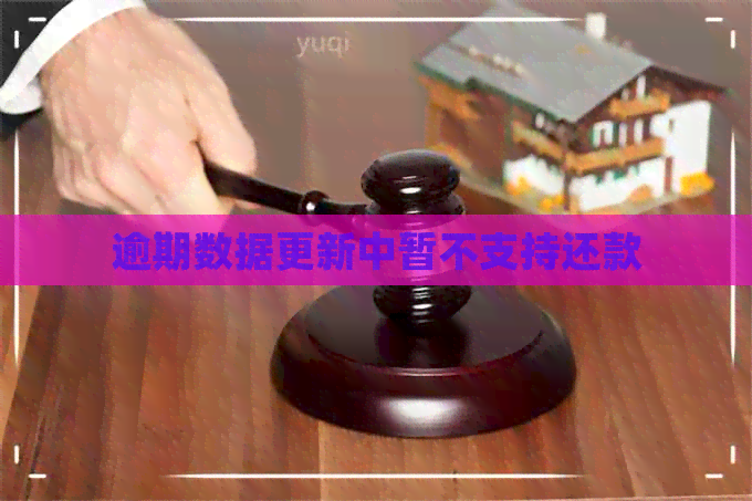 逾期数据更新中暂不支持还款