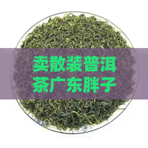 卖散装普洱茶广东胖子