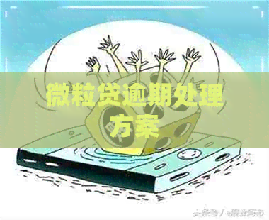 微立贷逾期处理方案