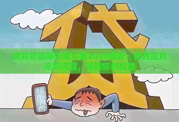 微立贷逾期处理方案2020最新：有效应对逾期问题，保障您的权益