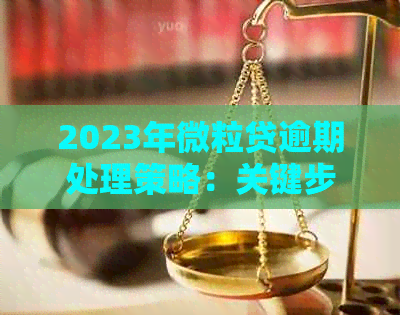 2023年微立贷逾期处理策略：关键步骤与实际操作指南