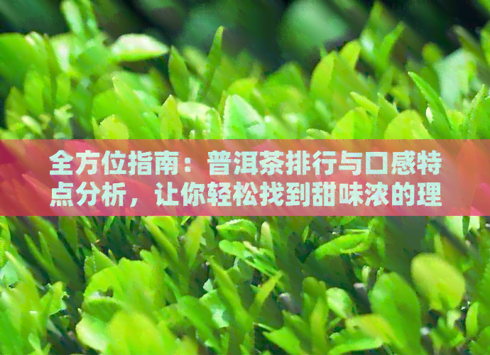 全方位指南：普洱茶排行与口感特点分析，让你轻松找到甜味浓的理想茶品