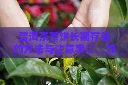 普洱茶茶饼长期存放的方法与注意事项，如何确保品质和口感？