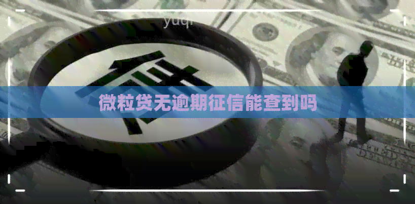 微立贷无逾期能查到吗