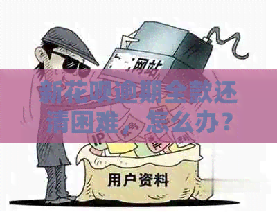 新花呗逾期全款还清困难，怎么办？