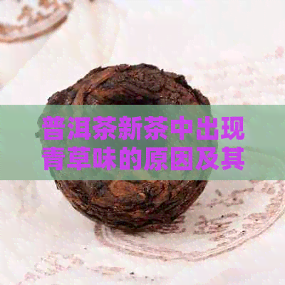 普洱茶新茶中出现青草味的原因及其对茶叶品质的影响