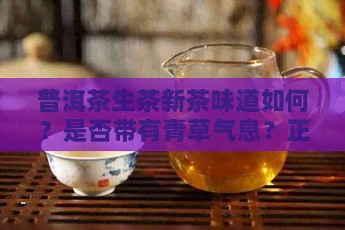 普洱茶生茶新茶味道如何？是否带有青草气息？正常吗？怎么办？