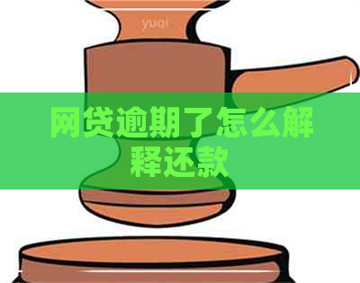 网贷逾期了怎么解释还款