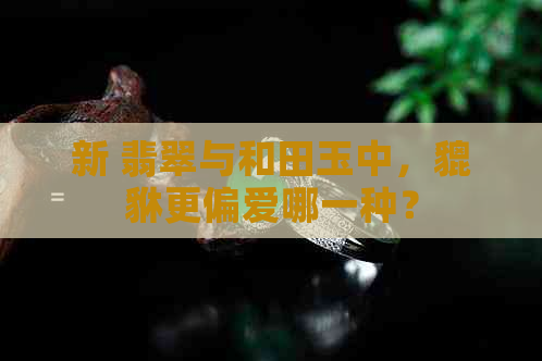 新 翡翠与和田玉中，貔貅更偏爱哪一种？